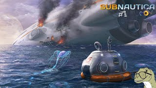 Subnautica 1 [upl. by Nyltiac]