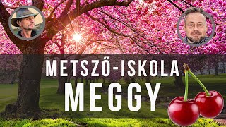 Meggyfa metszése Kosztka Ernővel  kert TV metszőiskola [upl. by Ydorb]