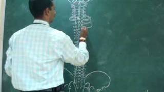 Dr P Senthil Kumar PhD PT Most Wonderful Hobby During Spine Biomechanics Lecture [upl. by Jenny639]