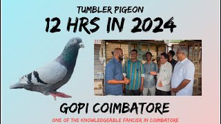 gopi Coimbatore 12 hrs  in 2024 one of the knowledgeable fancier [upl. by Vivianna]