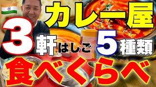 インドでカレー屋さん３軒はしごして5種類のカレーを食べくらべ [upl. by Conlin]