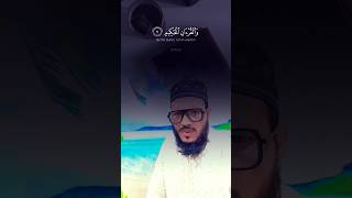 Surah Yaseen  Yasin  Beautiful Recitation [upl. by Eulalia192]