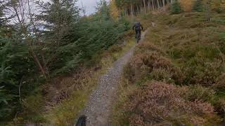 LAGGAN WOLFTRAX  RED TRAILS  MTB [upl. by Un209]