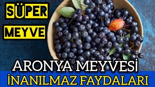 Aronya Meyvesinin Faydaları  Aronya Meyvesi Nedir  Aronya Meyvesi Nasıl Tüketilir [upl. by Acirretahs]