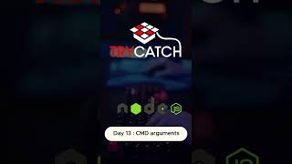 Day 13 Handling CommandLine Arguments in Nodejs NodeJS JavaScript CommandLineArguments [upl. by Nisen]