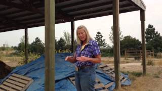 Why Should You Cover a Compost Pile [upl. by Ecirtap]