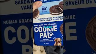 Are Dog Treats good crazy dogtreats dog treats food funny dad gift bad sick fyp viral [upl. by Aveline112]