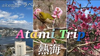 【熱海】湯〜遊バスで熱海スポット巡り！熱海桜、熱海梅園、熱海城、熱海商店街☆ [upl. by Eldin]