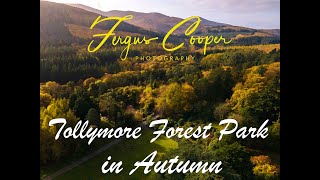 Tollymore Forest Park in Autumn [upl. by Dawn]