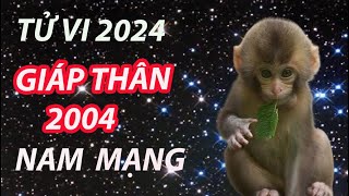 Tử vi nam Giáp Thân 2004 năm 2024 tốt hay xấu diễn tiến ra sao [upl. by Atilam658]