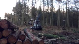 Cottingley Woods Tree Felling [upl. by Tracey819]