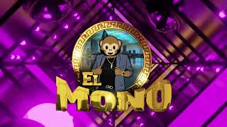 El Mono 2024 PT2 [upl. by Merill]