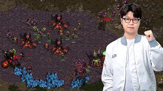 Will Soulkey REVOLUTIONIZE Protoss as a ZERG player [upl. by Berger437]