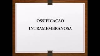 Histologia ossificação intramembranosa [upl. by Flanna]