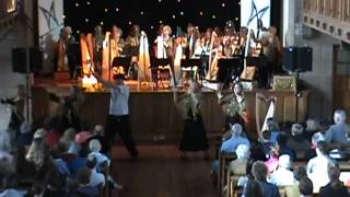 Brandywine Harp Orchestra  The Harp Schleppers Rag [upl. by Ardnasyl]