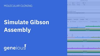 How to Simulate Gibson Assembly with Geneious Prime [upl. by Akcira]