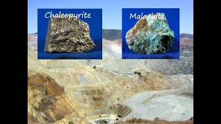 C4 Lesson 7 Phytomining and Bioleaching From C10 JGL [upl. by Roach]