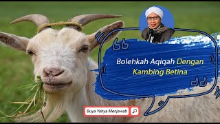 Bolehkah Aqiqah Dengan Kambing Betina  Buya Yahya Menjawab [upl. by Otsugua219]