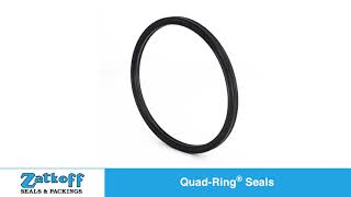 QuadRing Seals® [upl. by Enimaj552]