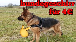 Hundegeschirr für 4 Euro beim Action gekauft [upl. by Inverson]