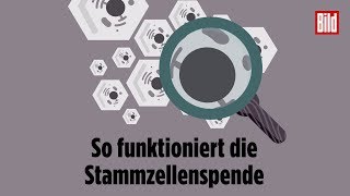 So funktioniert die Stammzellenspende [upl. by Darcy916]