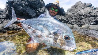 What Did I Just Catch Landbase Fishing in Samoa Catch and Cook [upl. by Drareg]