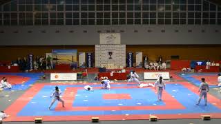 KUKKIWON TAEKWONDO PERFORMANCE DEMONSTRATION 25112017 [upl. by Bright]