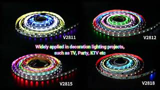 What is the costeffective V Series digital RGB LED strip [upl. by Brote]