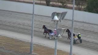 Bendio Harness Racing Club Trials [upl. by Izogn]