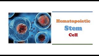 Hematology 🔤  Hematopoietic Stem Cells [upl. by Mccutcheon]