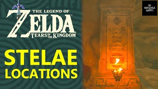 Stelae Locations in Zelda Tears of Kingdom  Heroines Secret Side Quest [upl. by Ellehcyt]