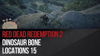 Red Dead Redemption 2  Dinosaur Bone Locations 15 [upl. by Siddra178]