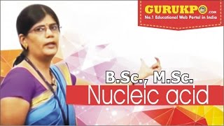 Nucleic acid Lecture BSc Zoology by Dr Priyanka Dadupanthi [upl. by Dymoke]