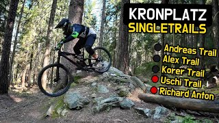 1A SINGLETRAILS DIE KAUM EINER KENNT  Mountainbiken am Kronplatz Südtirol [upl. by Atinhoj]