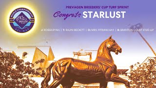 2024 Prevagen Breeders Cup Turf Sprint  Starlust [upl. by Cassandry]