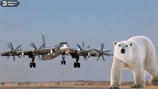 Russias Tu95 Bear Is a Beast of an Aircraft shorts [upl. by Matheson]