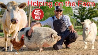 Helping a Farmer Feed and Care For His Animals Educational Farm Video For Kids [upl. by Airamas393]