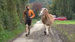 Horse jogging  Fitness mit Pferd [upl. by Dane]