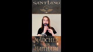 Santiano  Mädchen von Haithabu  Tin Whistle Cover shorts [upl. by Ainollopa]