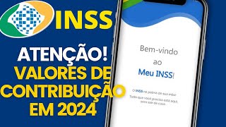 VALORES DE CONTRIBUIÇÃO DO CARNÊ DO INSS 2024  AUTÔNOMO FACULTATIVO E BAIXA RENDA VEJA O VALOR [upl. by Aihseyk]