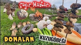 Domalan Mantarı Kuzugöbeği Mantarı Çayır Mantarı Yaylada Mantar Yemeği Yaptık [upl. by Roydd]