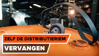 Hoe een distributieriem set en waterpomp vervangen op een AUDI A4 B7 HANDLEIDING AUTODOC [upl. by Ecnahs]