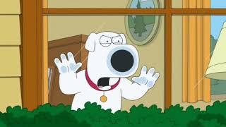 Squirrel taunts Brian Griffin Family Guy [upl. by Alehcim110]