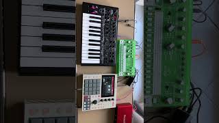 Three Bass Station patches  RD6 bassstation2 novationbassstation novation behringerrd6 synth [upl. by Papp41]