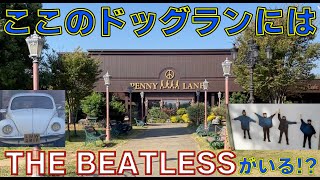 【ビートルズ聖地？】カフェとドッグランが充実してる「PENNY LANE」 [upl. by Nede852]