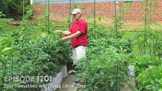 Growing a Greener World Episode 1201  Epic Tomatoes with Craig LeHoullier [upl. by Anila]