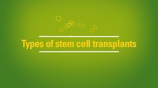 Types of stem cell transplants autologous vs allogeneic [upl. by Musa]