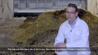 Using manure to grow insects for chicken feed [upl. by Aztiraj]