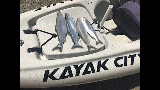 How To Set Up A Downrigger For Kayak Fishing Podcast No 19 [upl. by Ahsya30]