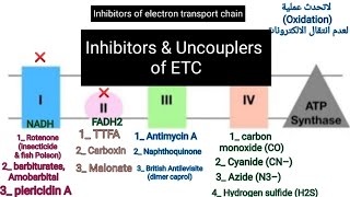 Inhibitors amp Uncouplers of electron transport chain and oxidative phosphorylation metabolism [upl. by Zurciram666]